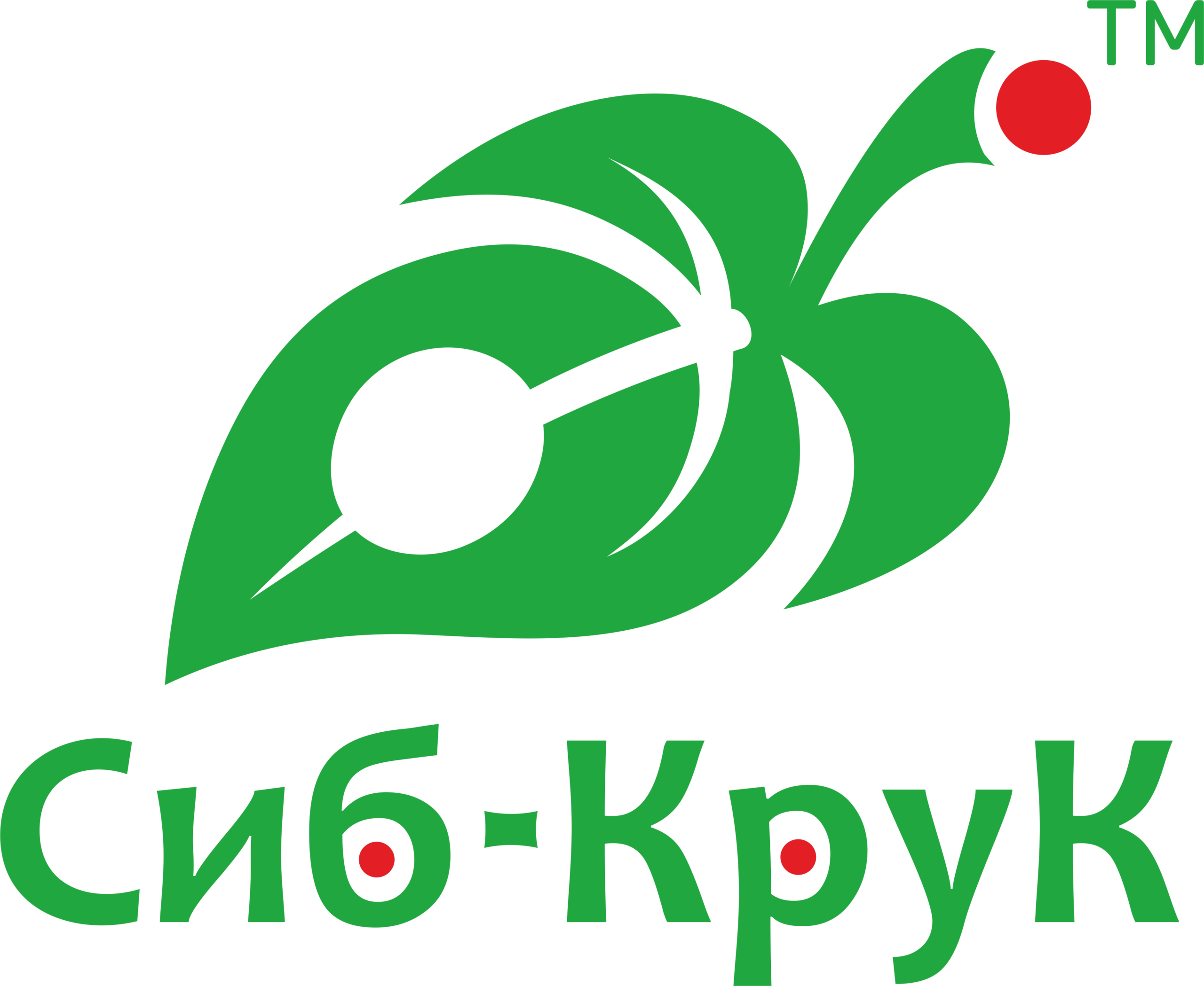 home.sib-kruk.ru